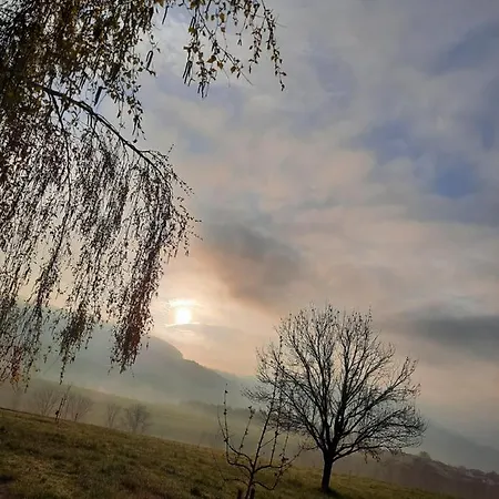 Vendégház Kreuzinger, 5310 Tiefgraben