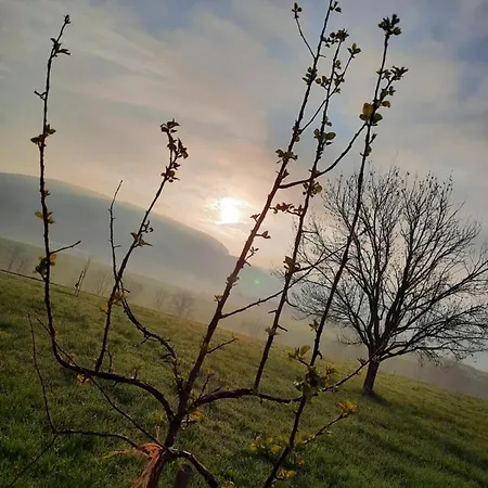 Kreuzinger 3*