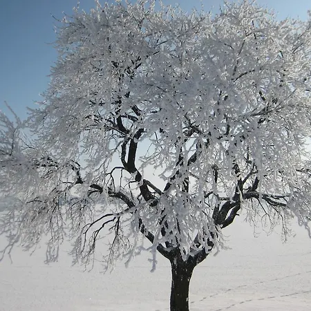 Kreuzinger, 5310 בית הארחה Tiefgraben
