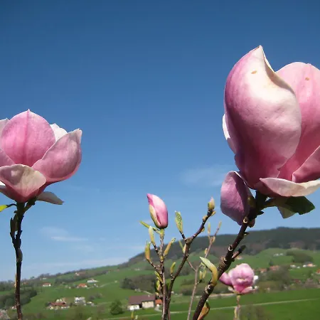 בית הארחה Kreuzinger, 5310 Tiefgraben