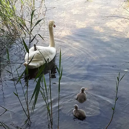 Kreuzinger, 5310 3* Tiefgraben