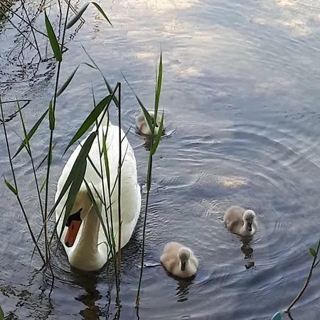 בית הארחה Kreuzinger, 5310 3*