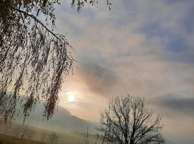 招待所 Kreuzinger, 5310 迪弗格拉根