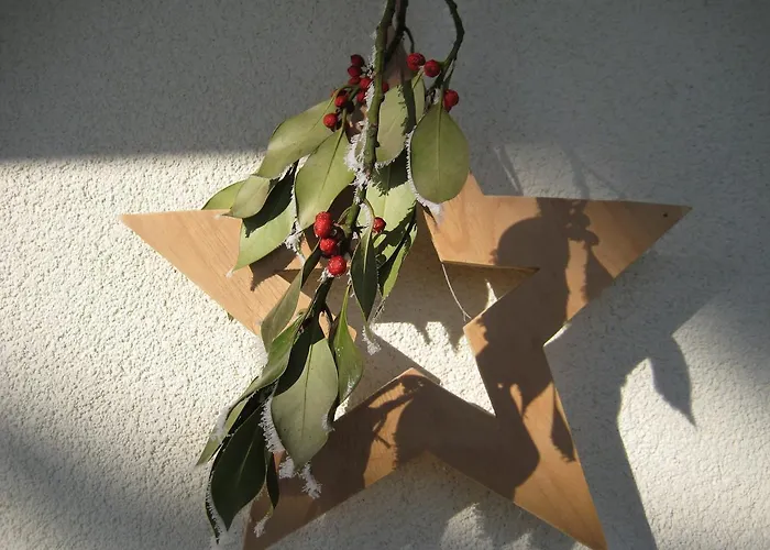 Kreuzinger, 5310 招待所 3*