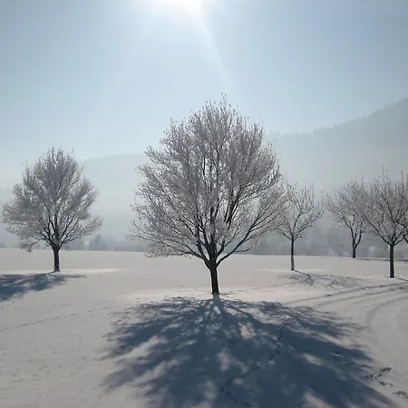 بيت ضيافة Kreuzinger, 5310 تيفغرابن