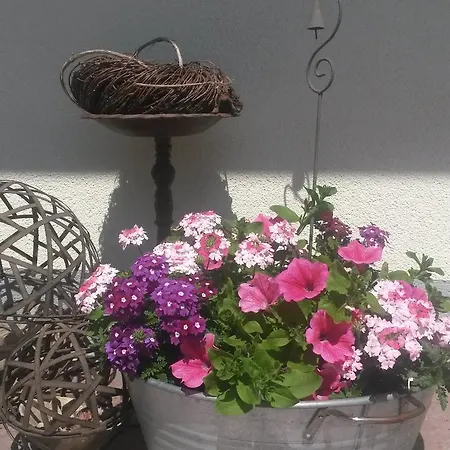 Kreuzinger