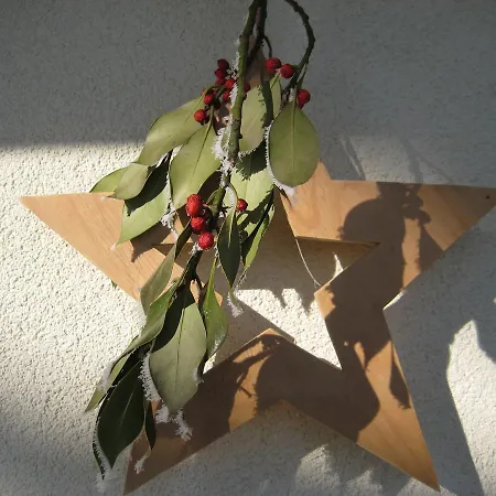 Kreuzinger Guest house *