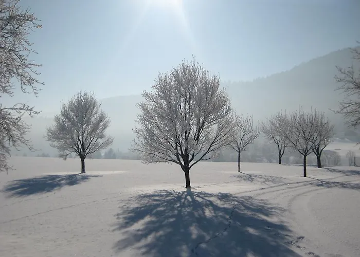 بيت ضيافة Kreuzinger, 5310 تيفغرابن