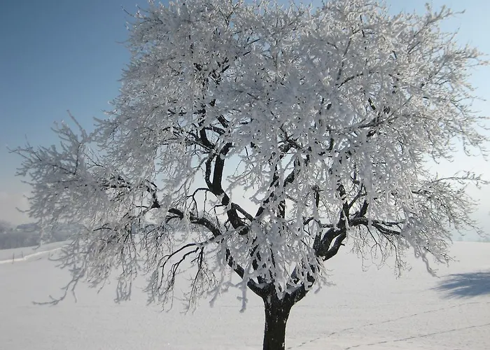 Kreuzinger, 5310 Gasthof Tiefgraben