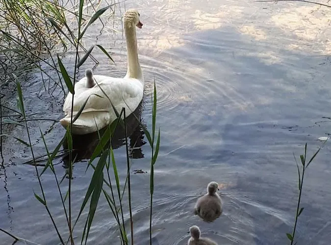 Kreuzinger, 5310 3* تيفغرابن